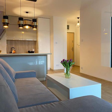 Comfortable Apartaments & Free Parking Gorzów Wielkopolski Esterno foto